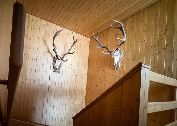 Talblick * ريرالب