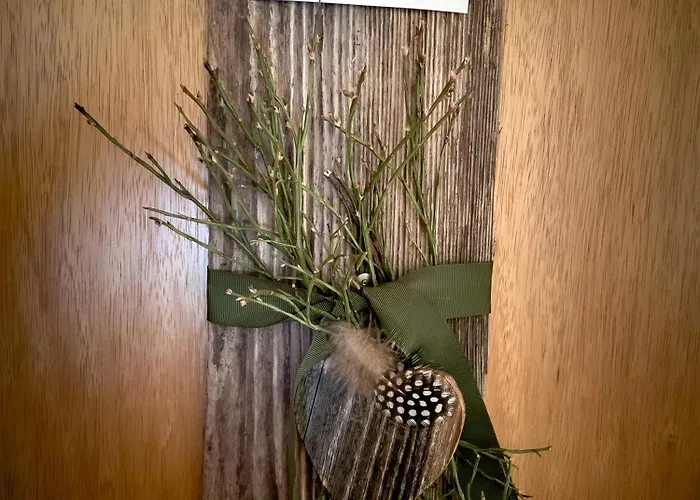 公寓 Talblick 利德阿尔卑斯